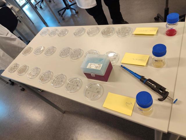 Kontrollert Analyse metode, Sterile petriskåler som fylles med mikroorganisme kultur og deretter rengjøringsmiddel